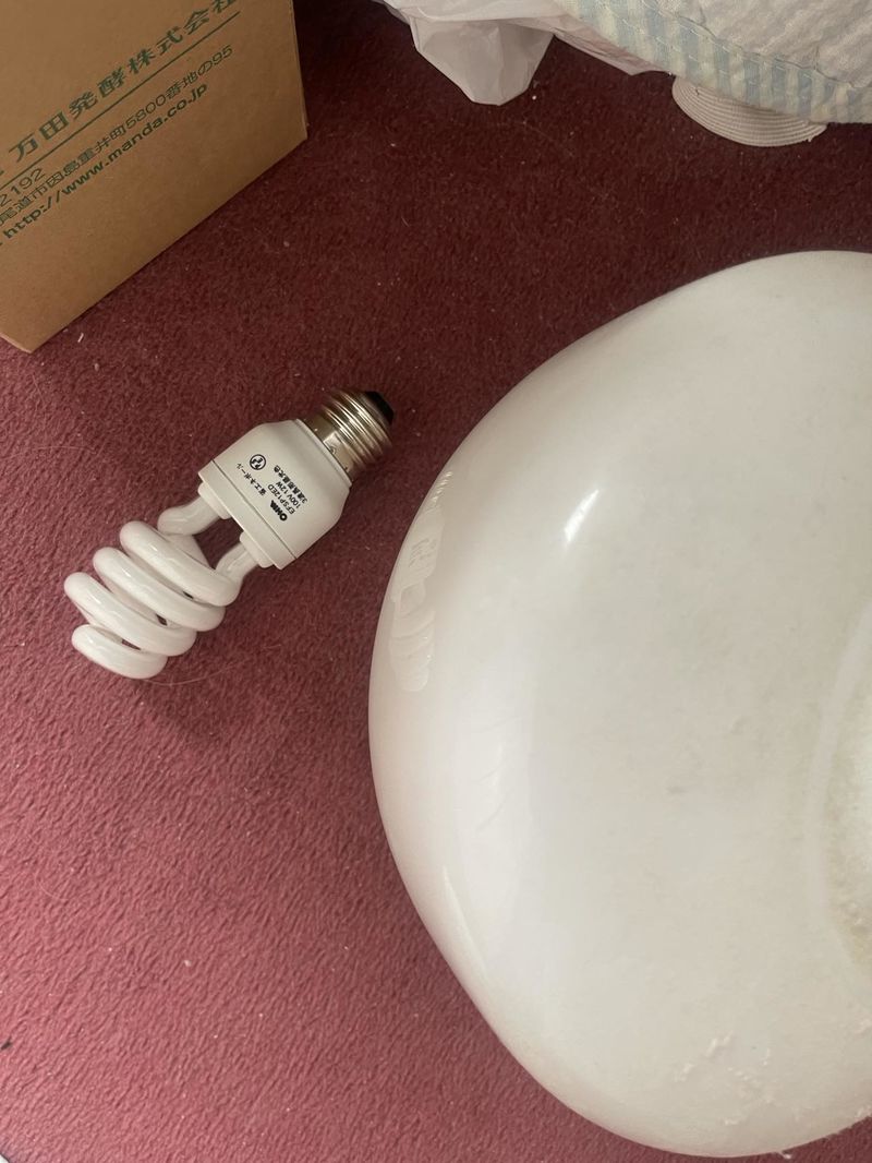 ファン付き電球交換の電球.jpg